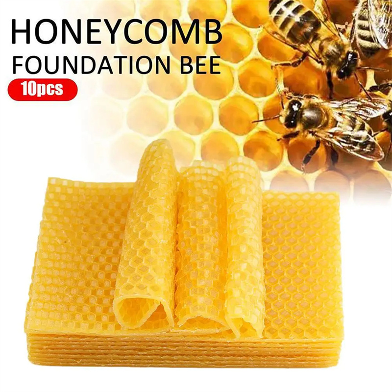 Candle Supplies Beeswax - 10/20 pezzi fogli di cera d'api